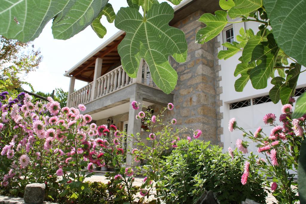 Castelo Dos Sonhos Hotel Valadares  Екстериор снимка
